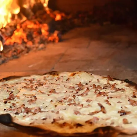 * Le Citizen Chic De Schilick *